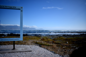 Robin Island Pictureframe