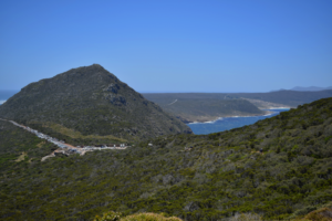 Cape Point View