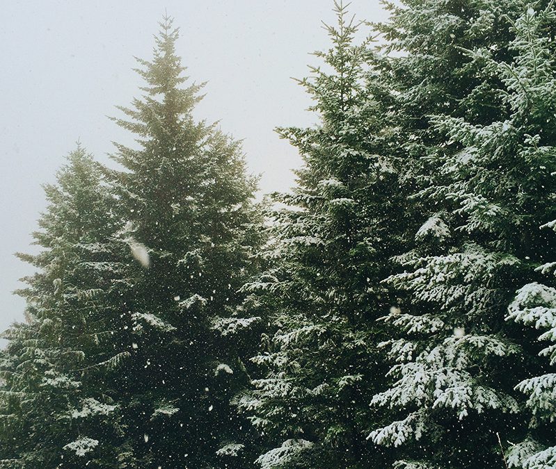 7 Self Care Ideas for Small Business Owners at Christmas