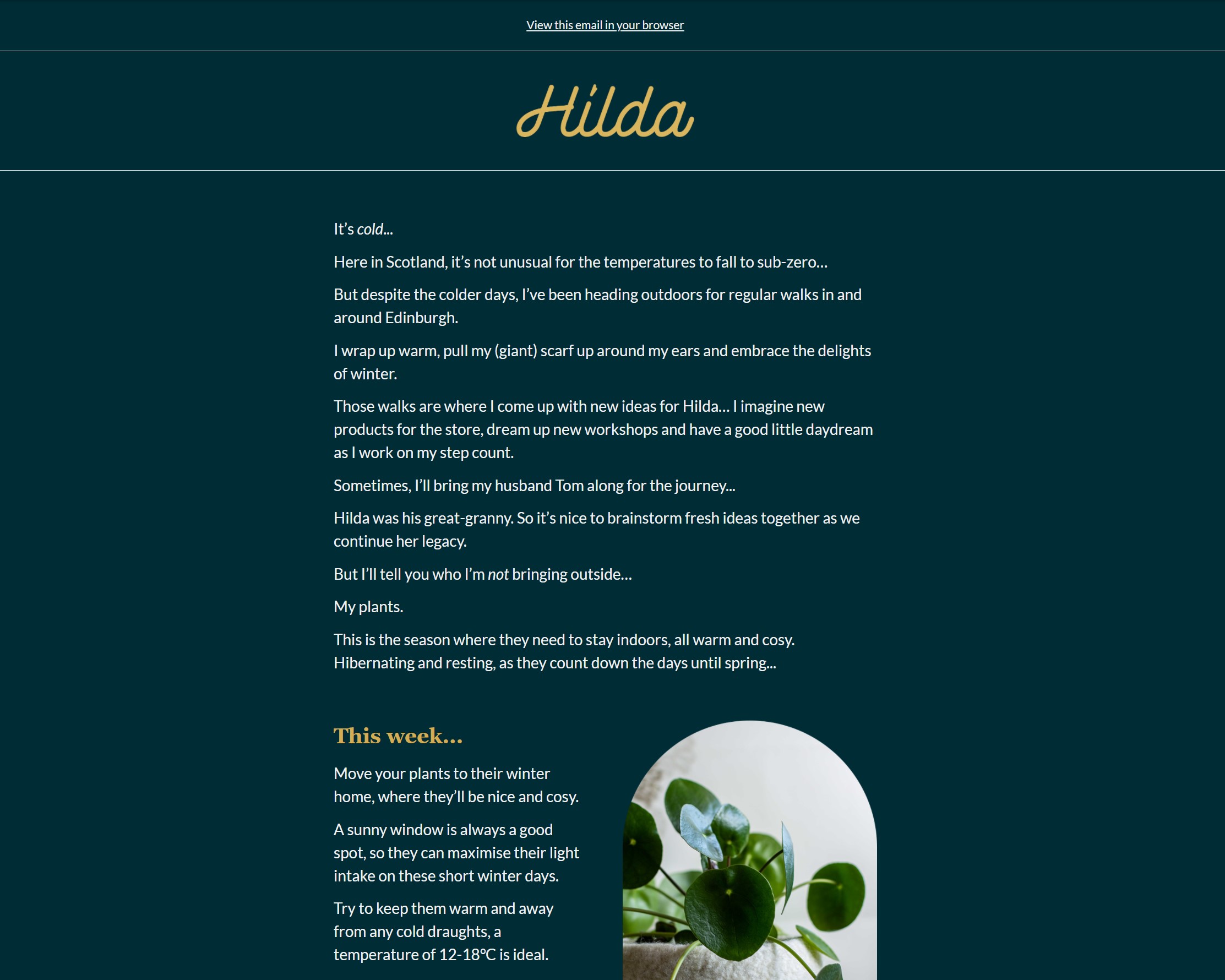 Email Copywriting Example - Hilda